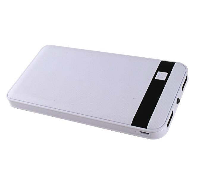 2 Output USB Polymer Power Bank With 8000mAh (8BK-653)